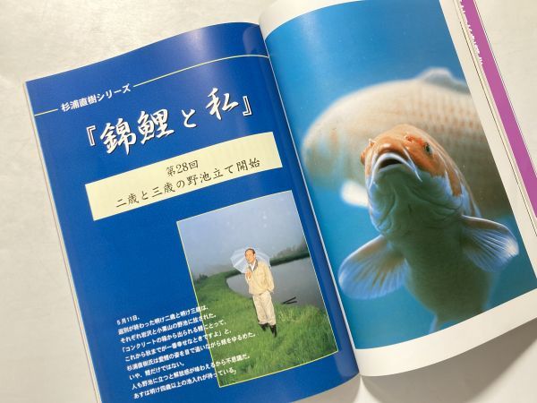 錦鯉の専門賞雑誌 鱗光 RINKO 2004年10月号 ベランダの5トン池で国魚賞_画像4