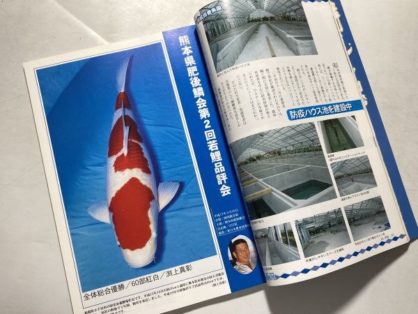 錦鯉の専門雑誌 鱗光 RINKO 2005年7月号 手作りの愛鯉池 全編 御影石の池_画像3