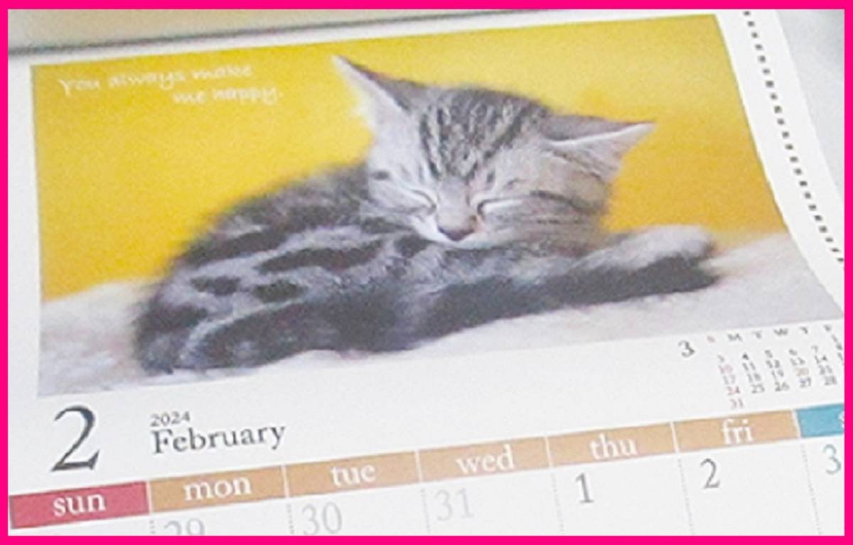 【1冊:2024年:壁掛け カレンダー:可愛い 子猫・猫】★A4 30x21cm：ねこ ネコ 仔猫★暦・こよみ：12面タイプ_画像3