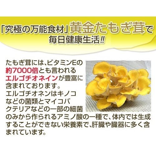 <3 sack set > yellow gold .... pills .160mg 360 pills made in Japan L gochionen beauty exemption .kisi roast [ domestic free shipping ]