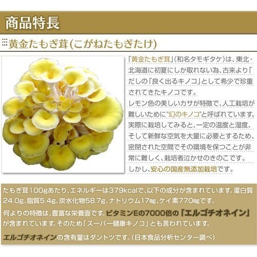 <2 sack set > yellow gold .... pills .160mg 360 pills made in Japan L gochionen beauty exemption .kisi roast [ domestic free shipping ]