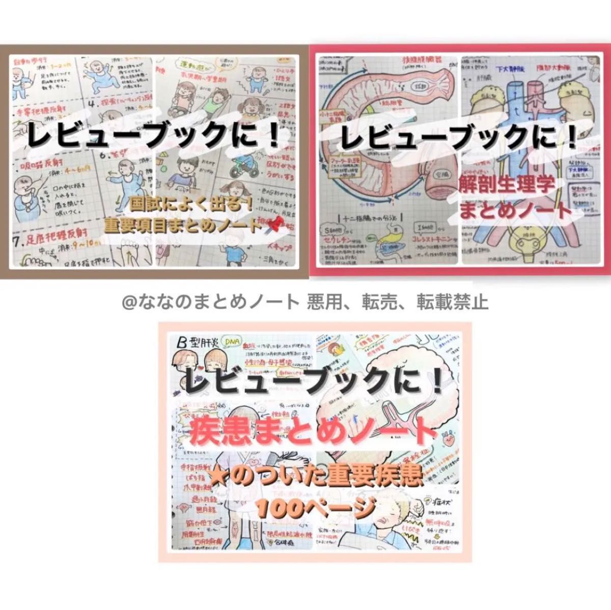 解剖学 基礎と臨床に役立つ Ⅰ Ⅱ Ⅲ - メルカリ