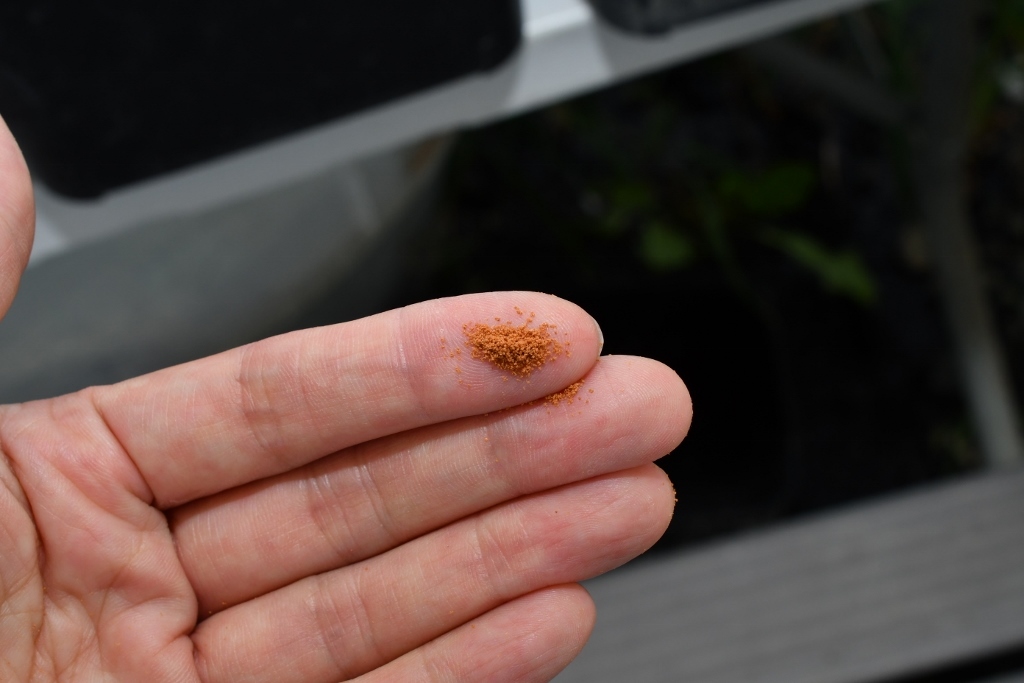 即出荷】 最安値！食いつき抜群！！リッチB・10ｋｇ 科学飼料研究所