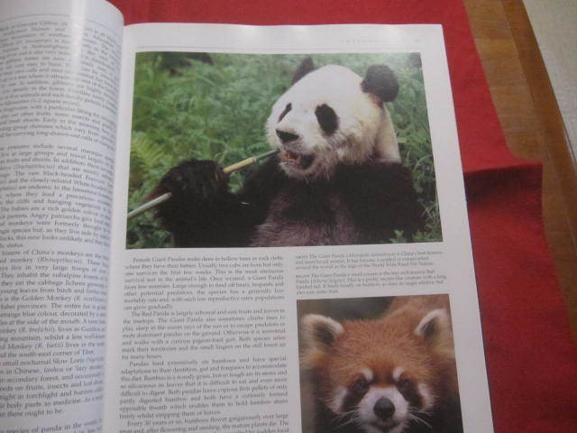 ☆ＷＩＬＤ　　ＣＨＩＮＡ　　　Ｔｅｘｔ　ｂｙ　ＪＯＨＮ　ＭａｃＫＩＮＮＯＮ　　Ｐｈｏｔｏｇｒａｐｈｓ　ｂｙ　ＮＩＧＥＬ　ＨＩＣＫＳ_画像5