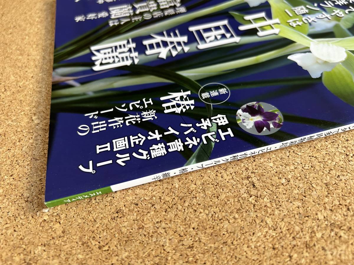 園芸JAPAN 2021年1月号　富貴蘭 長生蘭 春蘭 椿 エビネ ※ 自然と野生ラン_画像5