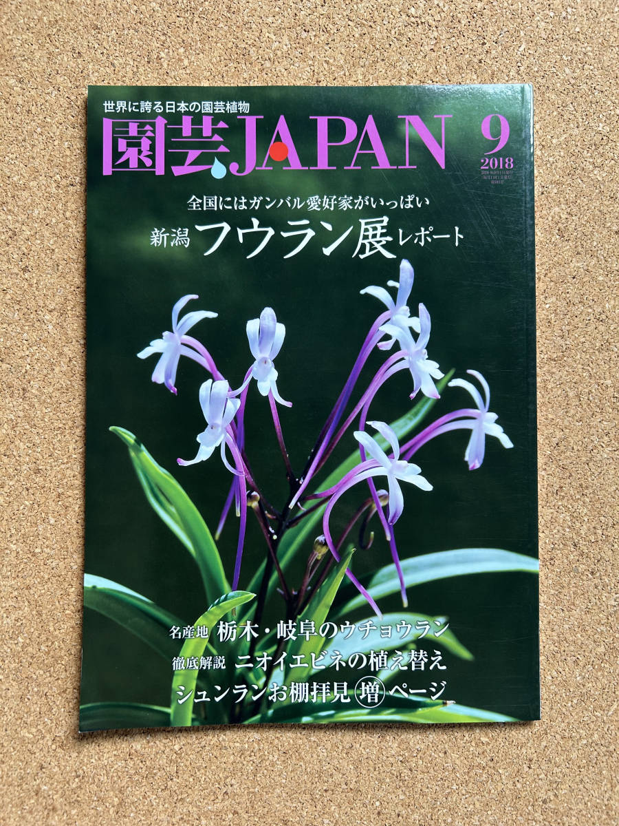  садоводство JAPAN 2018 год 9 месяц номер богатство и знатность орхидея uchou Ran запах креветка neshun Ran * природа .. сырой Ran 