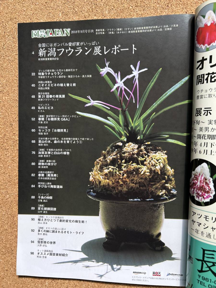  садоводство JAPAN 2018 год 9 месяц номер богатство и знатность орхидея uchou Ran запах креветка neshun Ran * природа .. сырой Ran 