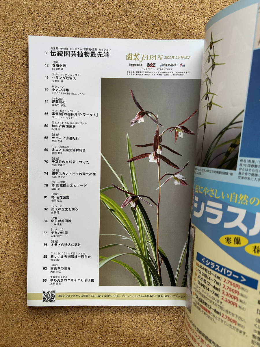  садоводство JAPAN 2022 год 2 месяц номер богатство и знатность орхидея длина сырой орхидея весна орхидея ekebe задний агава папоротник олений рог * природа .. сырой Ran 