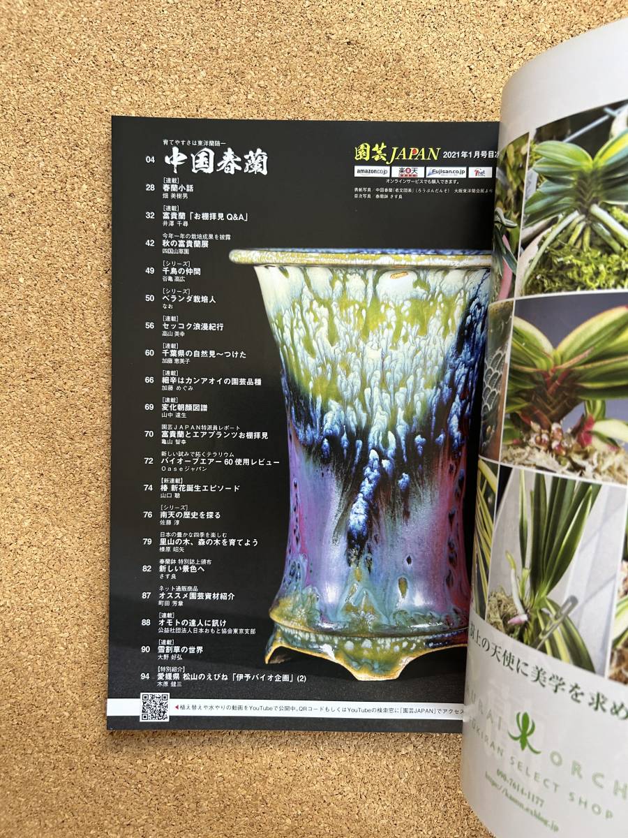 園芸JAPAN 2021年1月号　富貴蘭 長生蘭 春蘭 椿 エビネ ※ 自然と野生ラン_画像3