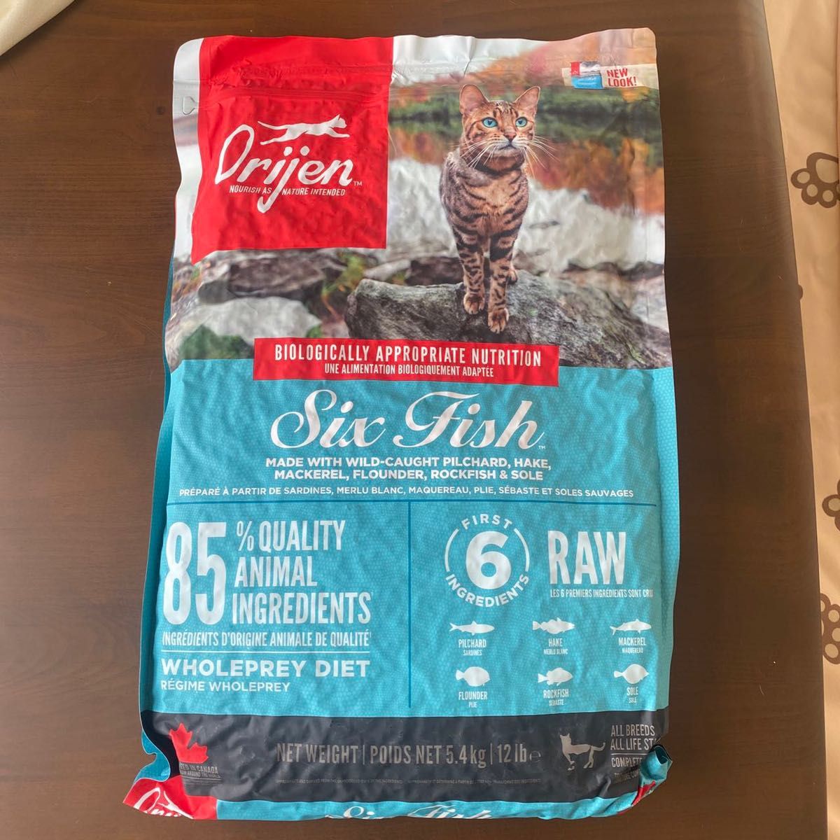 orijenオリジンシックスフィッシュキャット5.4kg-