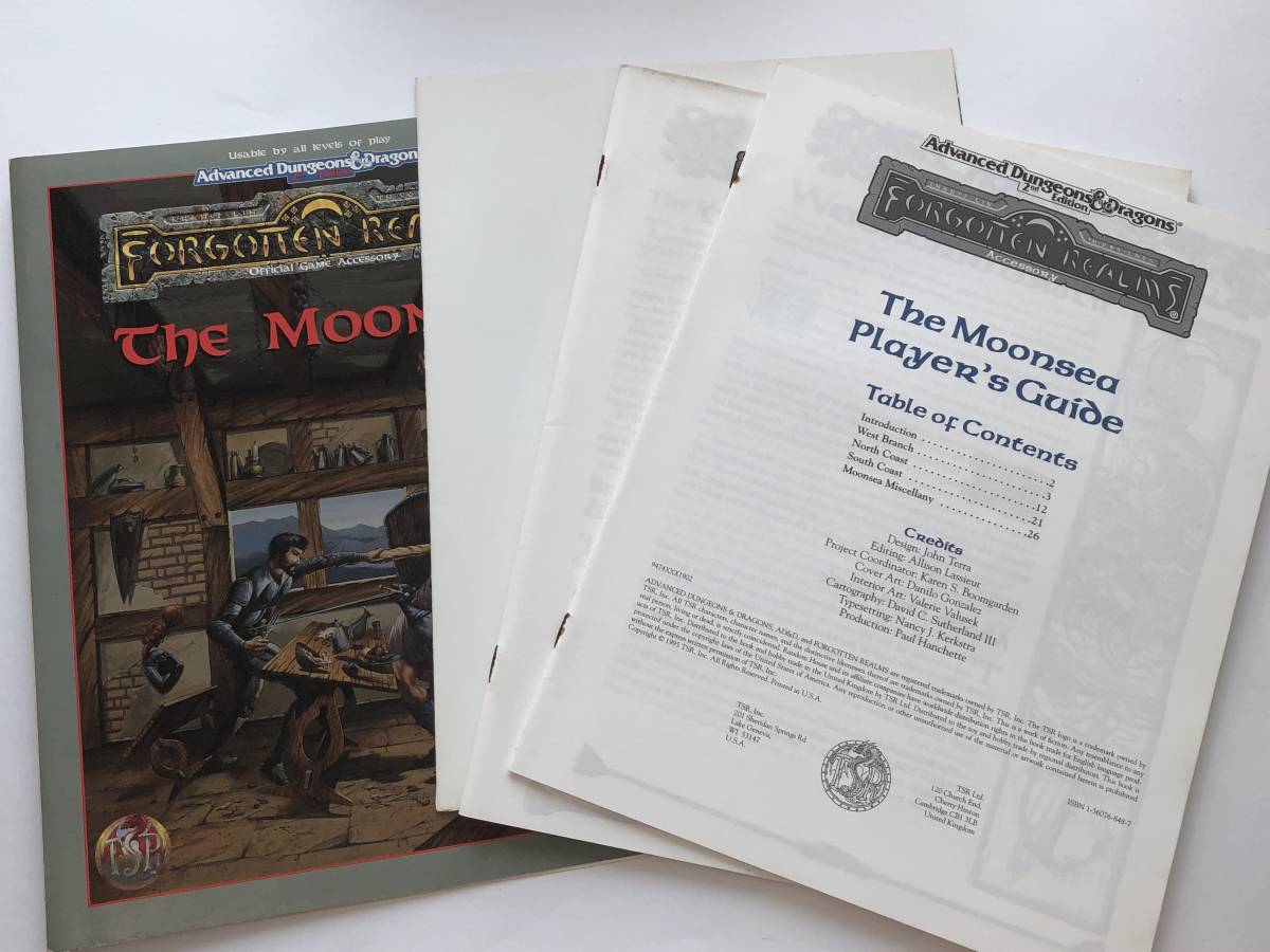 即決 洋書 The Moonsea FORGOTTEN REALMS 9474 DUNGEONS & DRAGONS/ダンジョンズ&ドラゴンズ TSR - TRPG 即決 洋書 The Moonsea FORGOTTEN REALMS 9474 DUNGEONS & DRAGONS/ダンジョンズ&ドラゴンズ TSR - TRPG