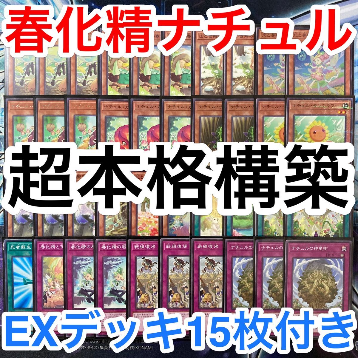 本格構築済みデッキ 遊戯王 春化精 春化粧 ナチュル デッキパーツ