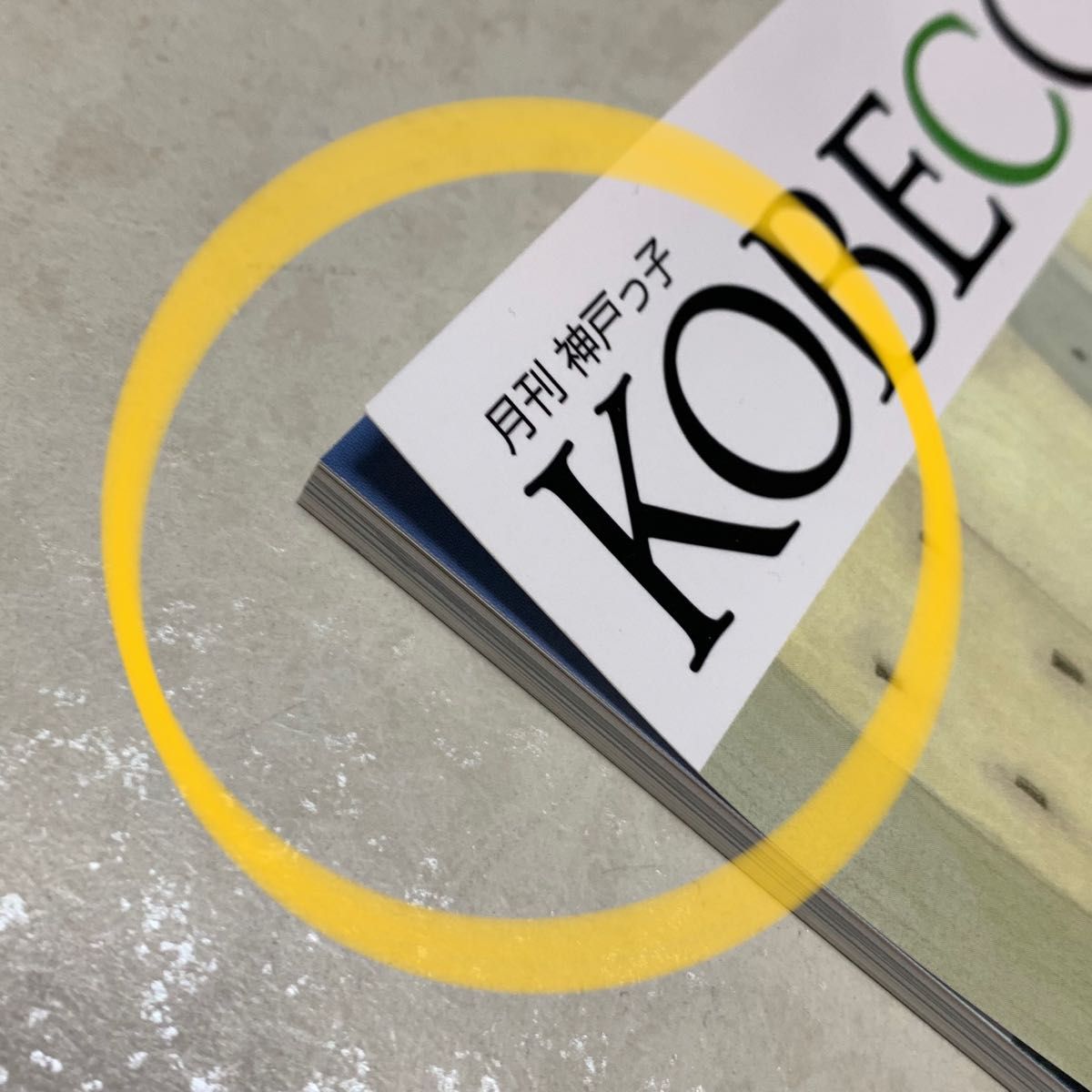 【中古・難あり】月刊  神戸っ子 KOBECCO 2023年8月号 vol743