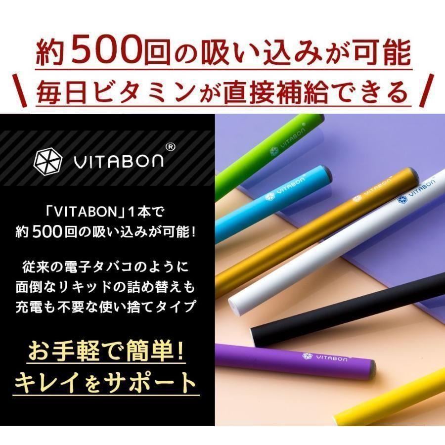 未使用３個　XYLITOL VITABON　シナモン　禁煙口臭ケア　電子タバコ