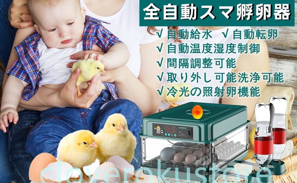  newest automatic . egg vessel in kyu Beta -. temperature vessel birds exclusive use . egg vessel .. vessel automatic rotation egg type a Hill chicken egg a Hill .... temperature .. vessel (24 sheets ) operation video attaching 
