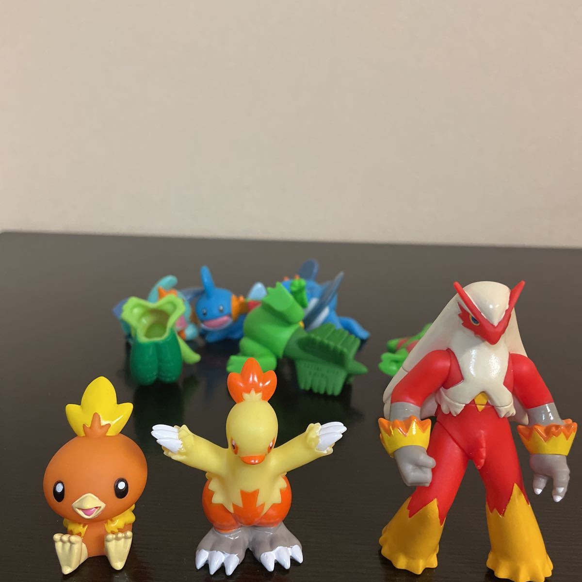 ポケモンキッズ 御三家 アチャモ キモリ ミズゴロウ 進化 DX ポケモンキッズ 御三家 アチャモ キモリ ミズゴロウ 進化 DX