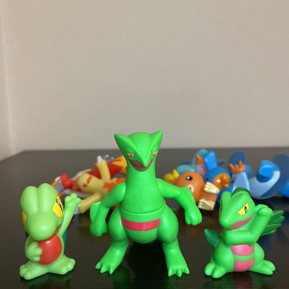 ポケモンキッズ 御三家 アチャモ キモリ ミズゴロウ 進化 DX ポケモンキッズ 御三家 アチャモ キモリ ミズゴロウ 進化 DX
