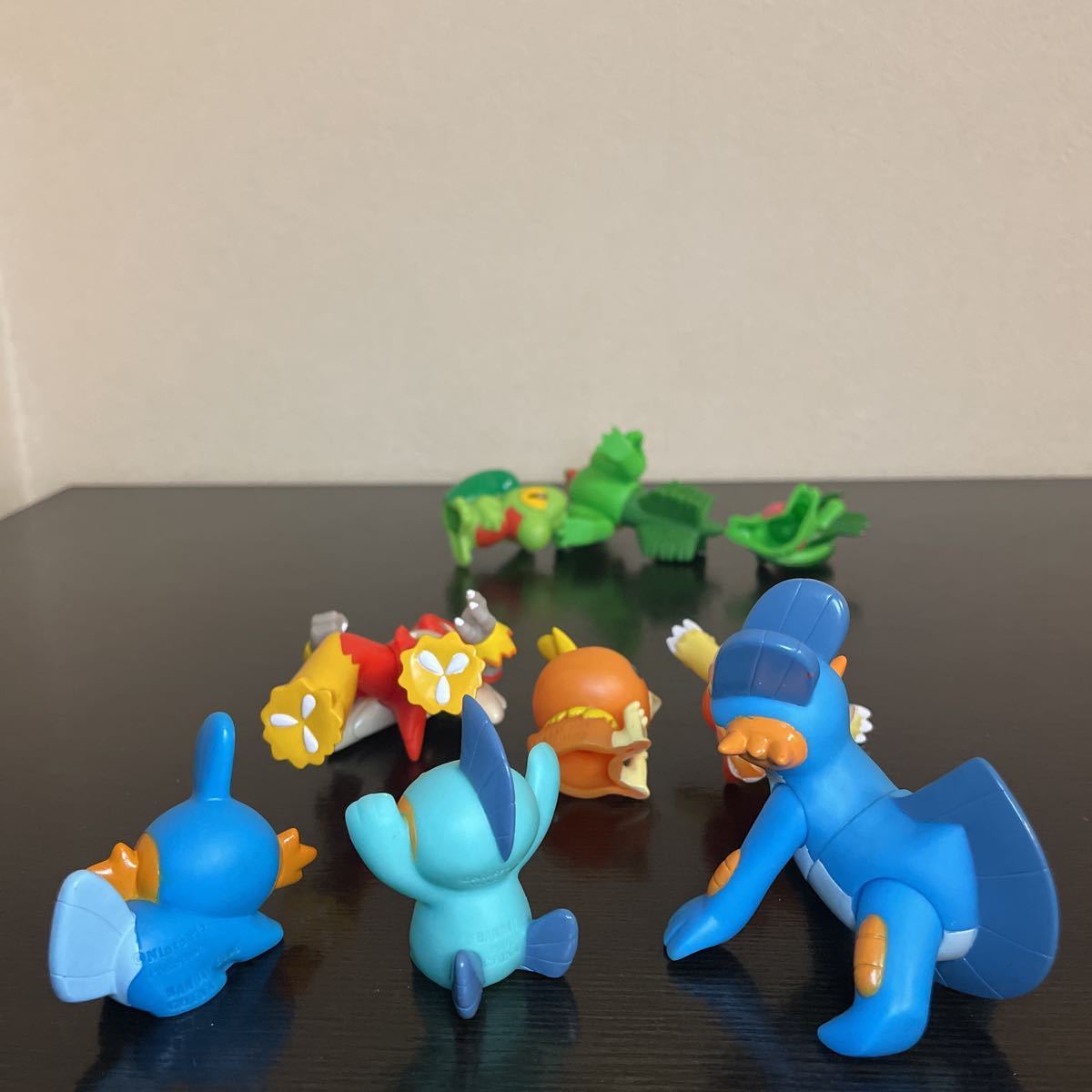 ポケモンキッズ 御三家 アチャモ キモリ ミズゴロウ 進化 DX ポケモンキッズ 御三家 アチャモ キモリ ミズゴロウ 進化 DX