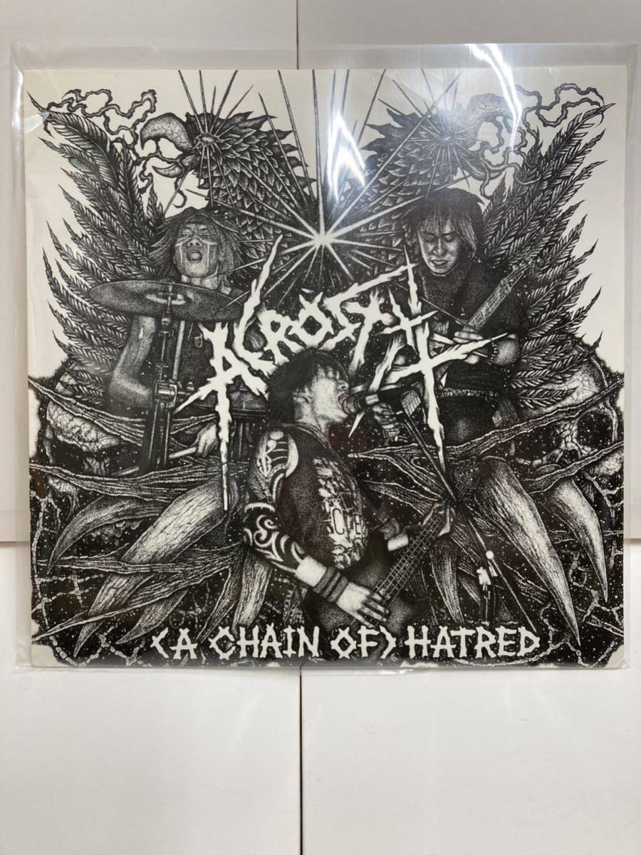 US盤 (A Chain Of) Hatred / Acrostix アクロスティックス 【LPアナログレコード】 Japanese Hardcore Punk_画像10