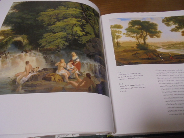  foreign book Ireland i-ll Land. art industrial arts design. history Art and Design, 1690~1840
