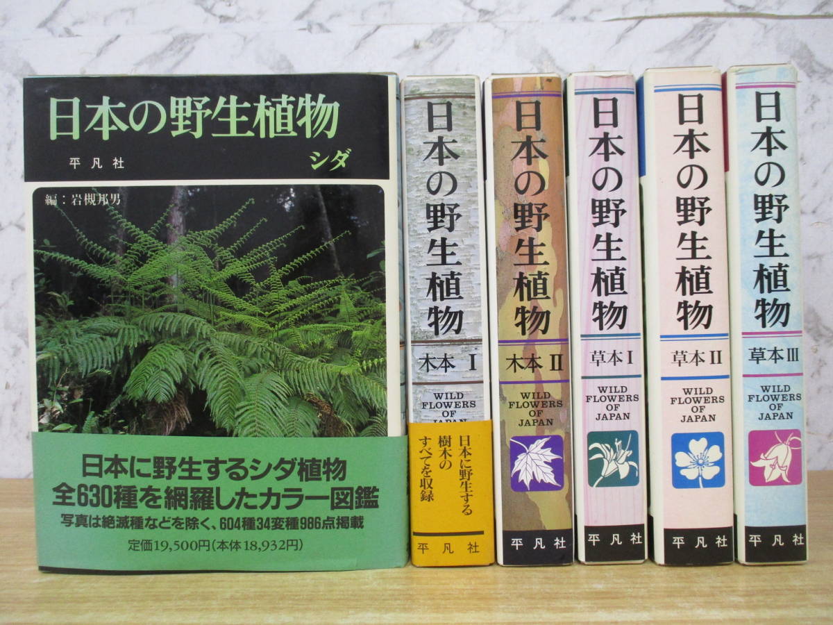 d9-5（日本の野生植物）6冊セット シダ/木本 Ⅰ・Ⅱ 全2巻/草本 Ⅰ・Ⅱ・Ⅲ 全3巻 平凡社 函入り 種子植物 合弁 離弁 単子葉類 図鑑_画像1