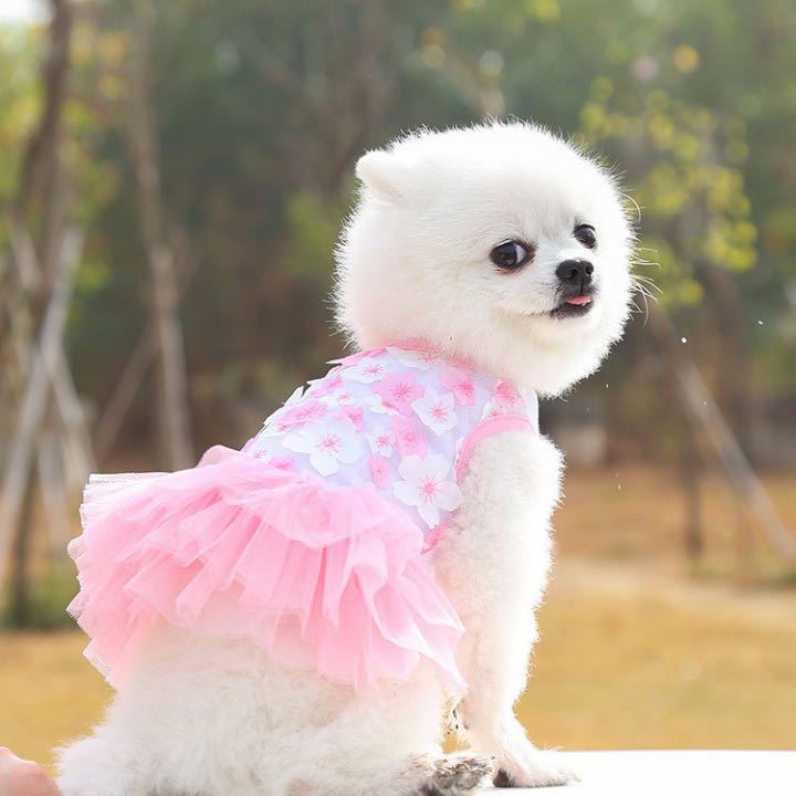 【お花いっぱい】犬服 ドッグウェア ペット 猫 犬 ワンピース ドレス かわいい ピンク Sサイズの画像5