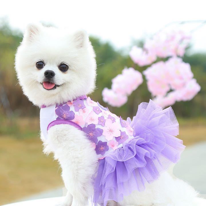 【お花いっぱい】犬服 ドッグウェア ペット 猫 犬 ワンピース ドレス かわいい パープル Mサイズの画像6