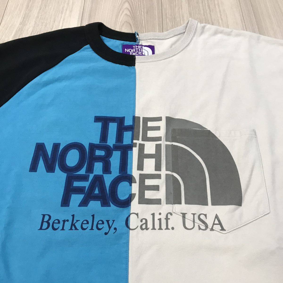 THE NORTH FACE High Bulky Jersey Teeノースフェイス パープル