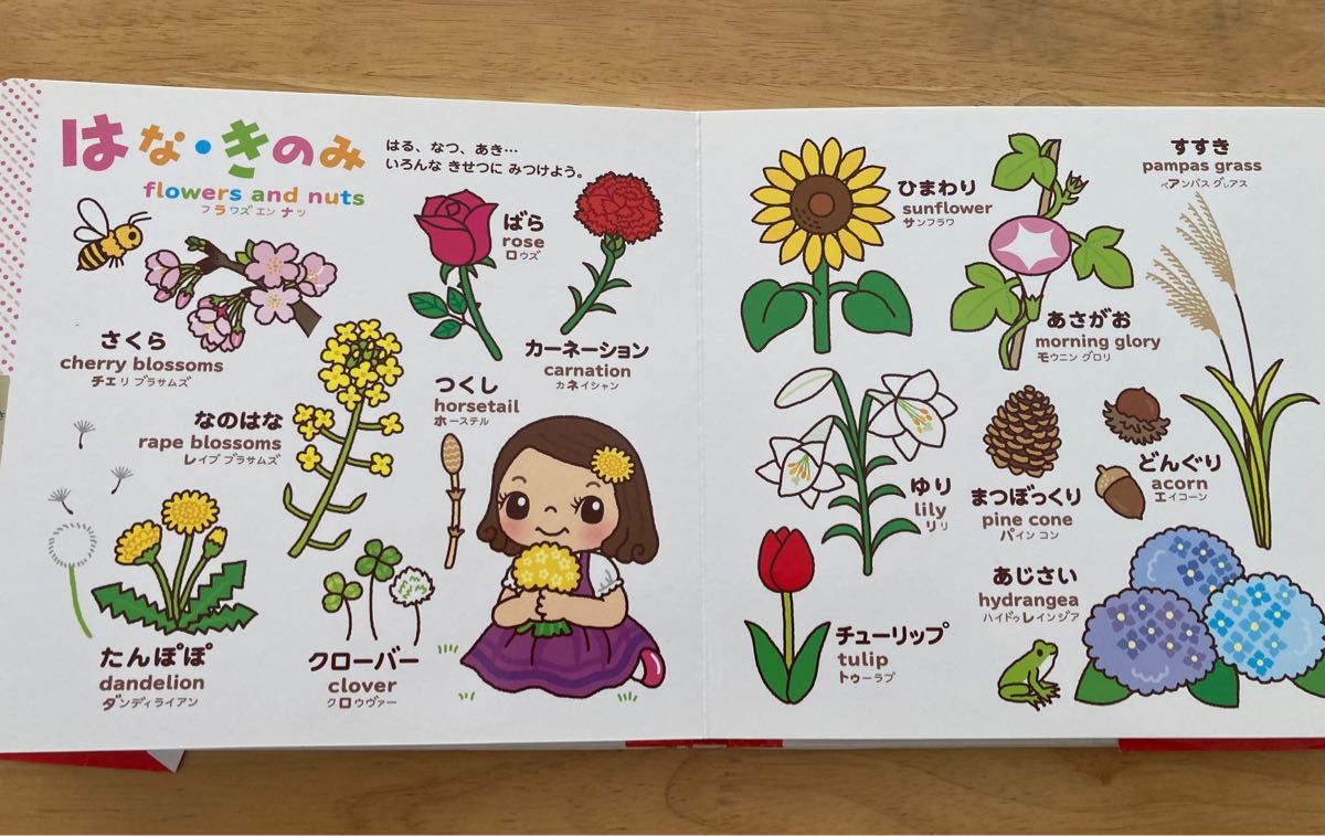 こどもずかん 知育絵本 図鑑 子供絵本 学研