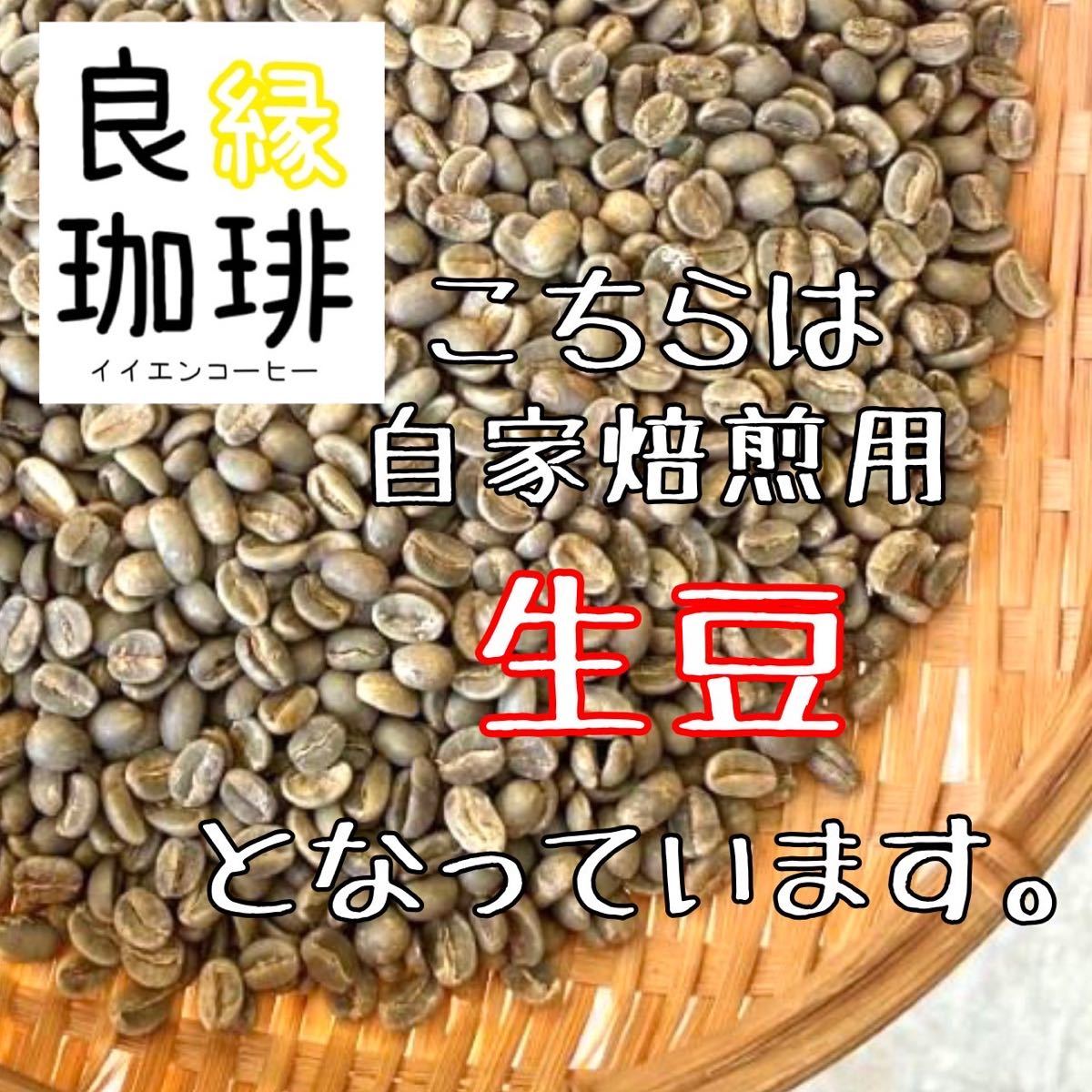 生豆 800g ブラジル ショコラクイーン スペシャリティー coffee 珈琲 コーヒー豆 beans