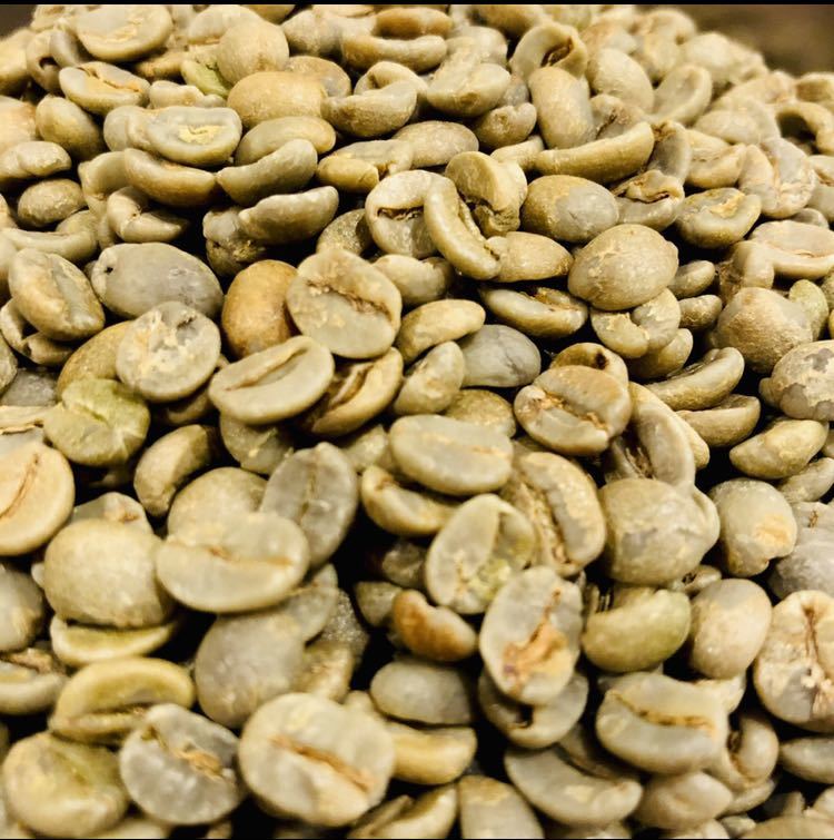 【激安】ブラジル クィーンショコラ 生豆 200g スペシャリティ コーヒー 珈琲 coffee beans