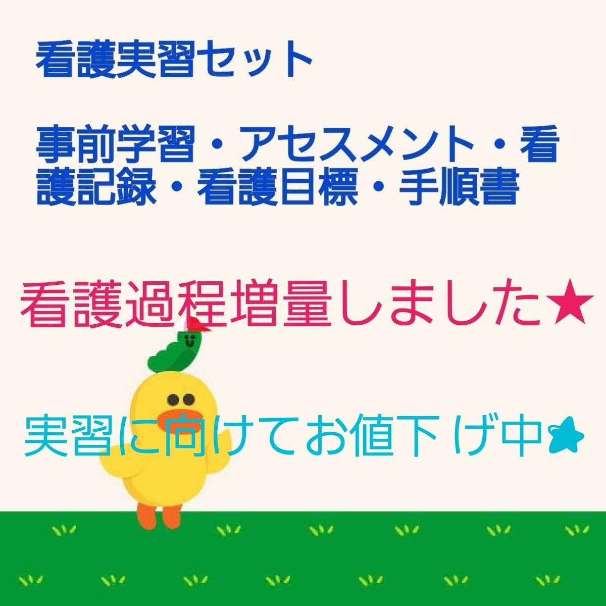 実習に向けてお値下げ中★看護実習　看護過程　アセスメント　看護目標　看護技術　手順書　看護学生　国家試験