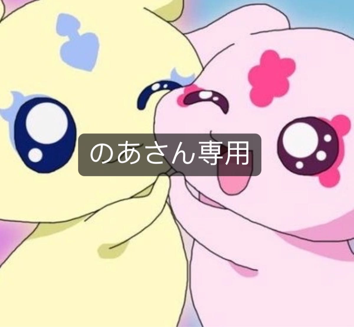 のあさん専用です|Yahoo!フリマ(旧PayPayフリマ)