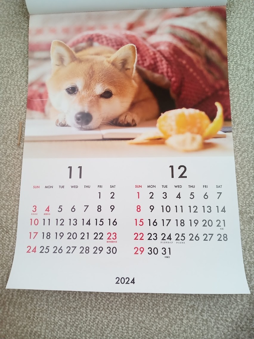 ★すぐに発送します!★【大きいサイズ! 柴犬 壁掛けカレンダー 2024年 52x36㎝ B3】しば イヌ いぬ ドッグ まめ柴 こよみ 暦 _画像7