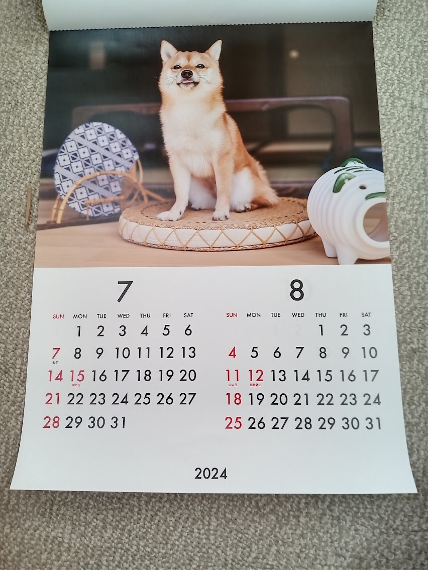 ★すぐに発送します!★【大きいサイズ! 柴犬 壁掛けカレンダー 2024年 52x36㎝ B3】しば イヌ いぬ ドッグ まめ柴 こよみ 暦 _画像5