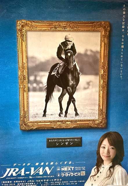 ◎名馬 痛みあり JRA VAN サポート シンザン ポスター 眞鍋かをり◎_画像1