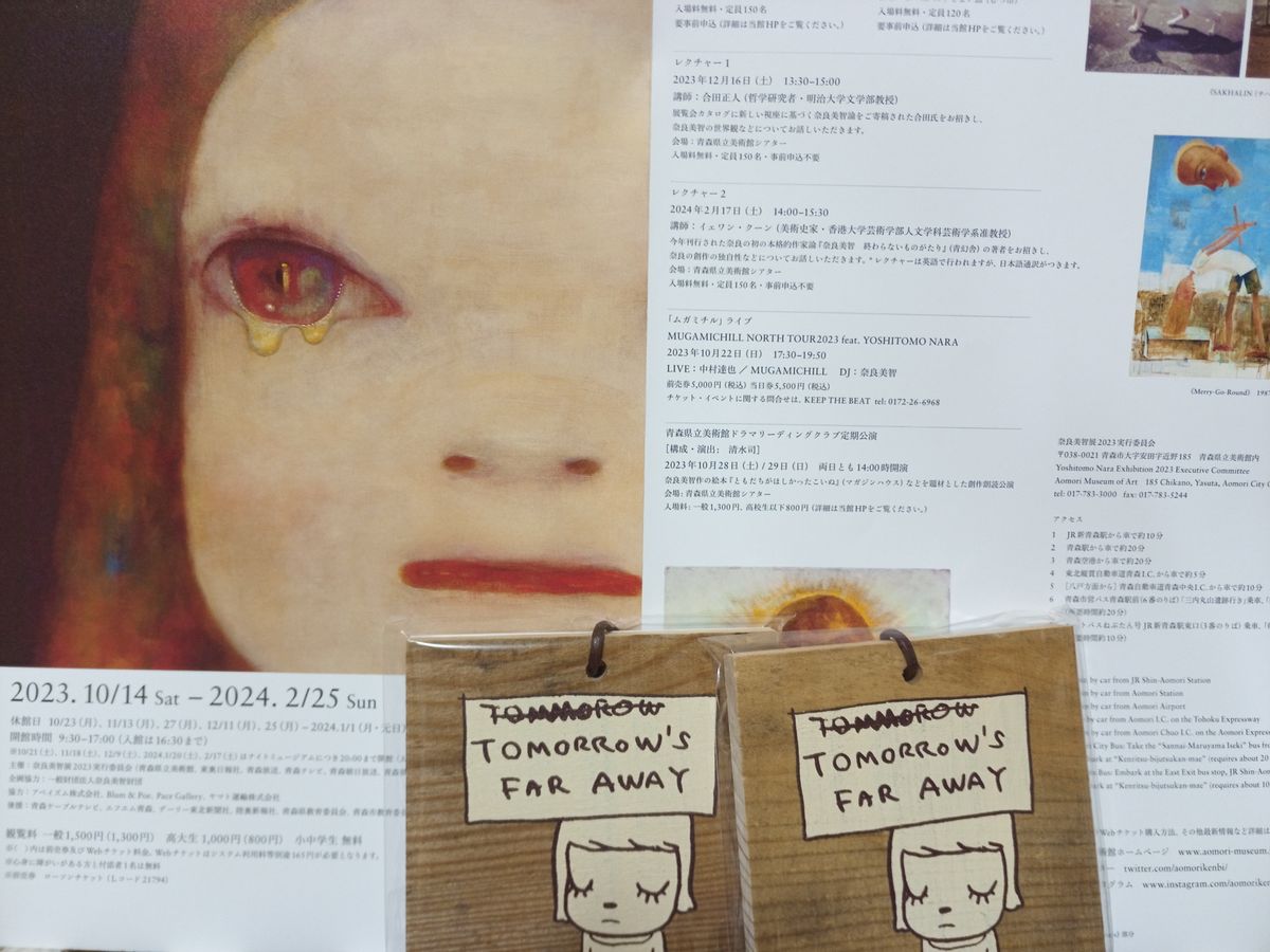 奈良美智 青森県立美術館 りんご箱プレミアムチケット2個組|PayPayフリマ