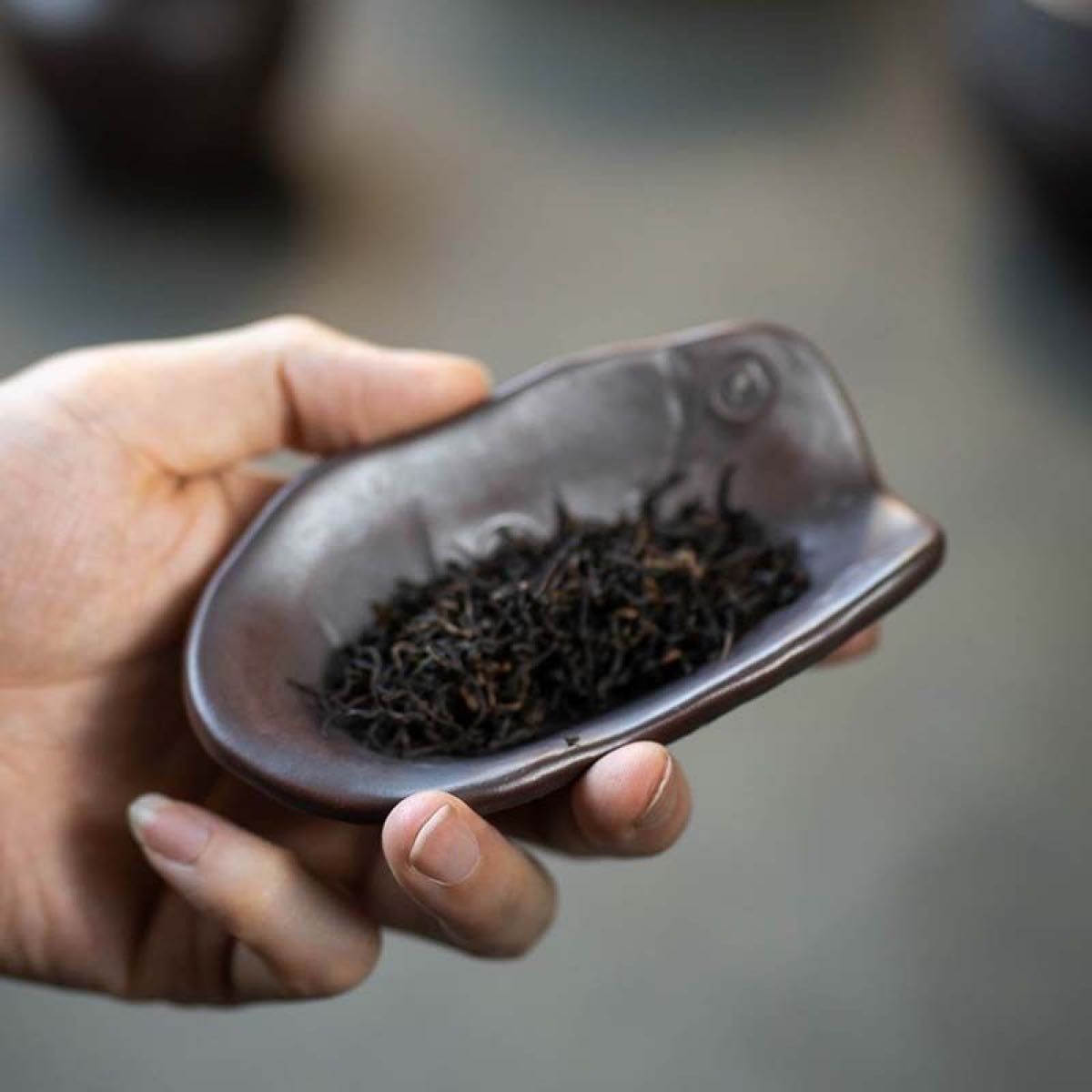 宜興 紫砂 茶則 亀甲形 新品未使用 銅錢紋 在銘 煎茶道具 置物 美品