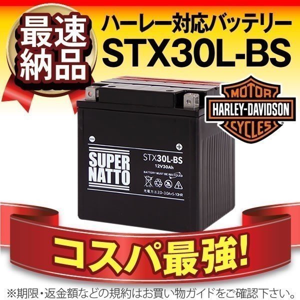 GSユアサ エコR レボリューション カーバッテリー アテンザワゴン 6BA