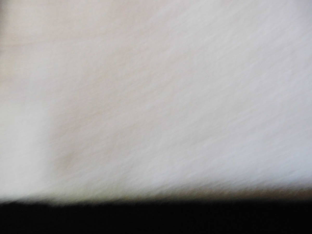 タオルケット今治IKEUTIBURANNDOオーガニックコットン最高級品29,000円のお品バンブー、Cの画像2