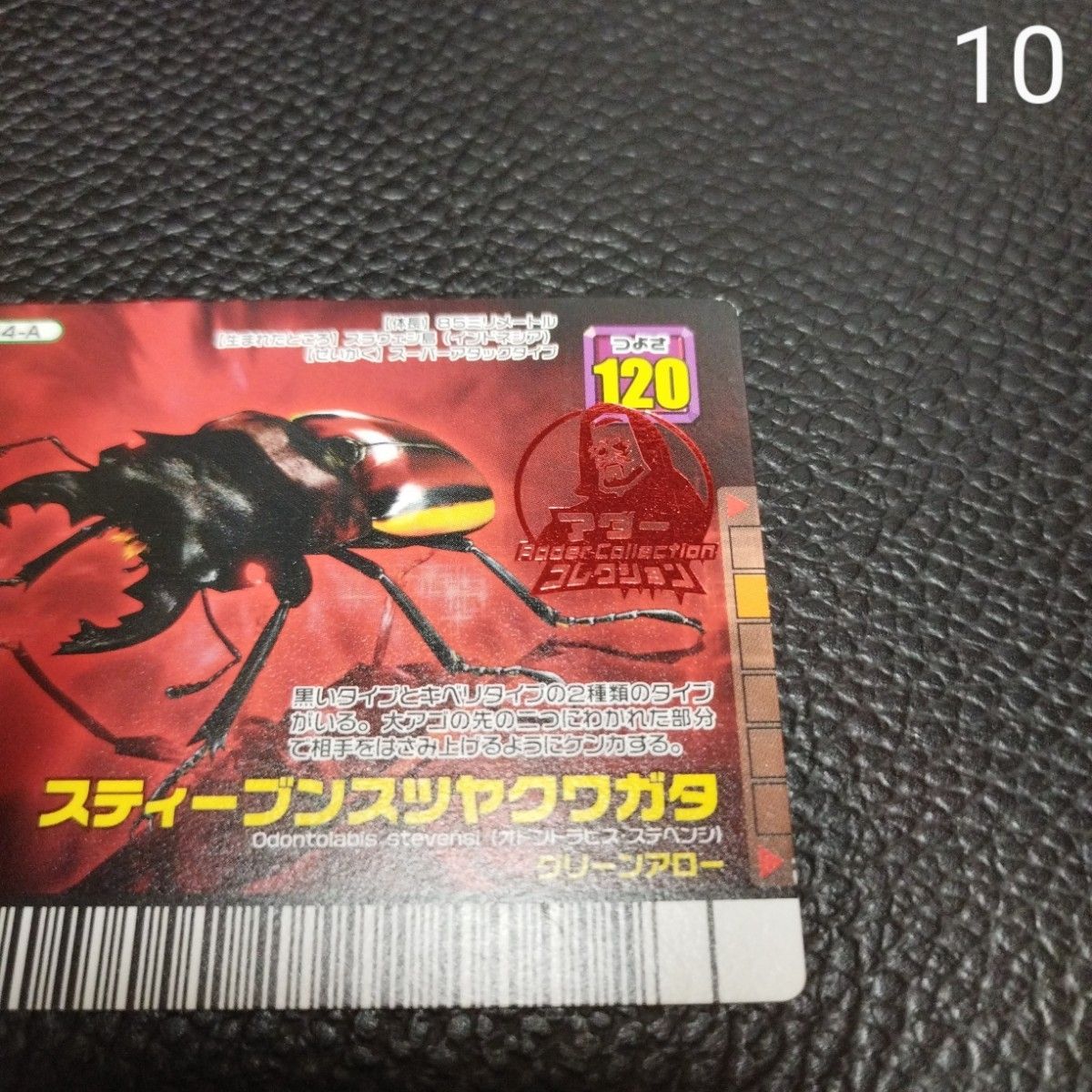 ムシキング 2007 赤目 スティーブンスツヤクワガタ 064-A ムシキング 2007 赤目 スティーブンスツヤクワガタ 064-A