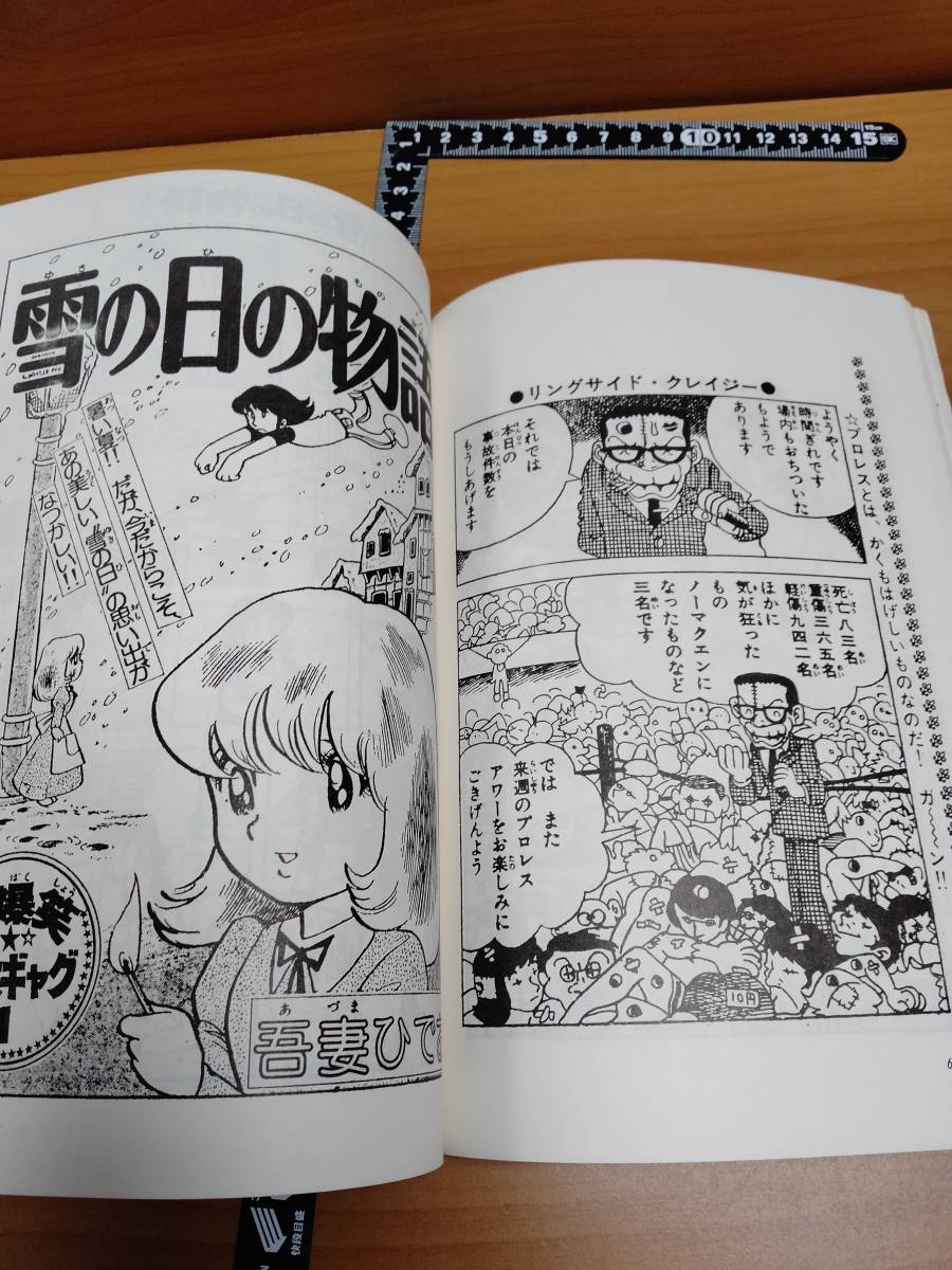 【吾妻ひでお】吾妻ひでおに花束を＋はぁどしゅうる新聞一号（虎馬書房）_画像6