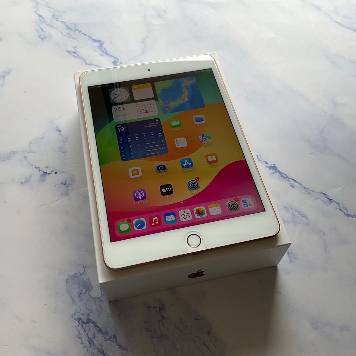 【超美品】 Apple iPad mini 5 Wi-Fi Cellular SIMフリー 64GB