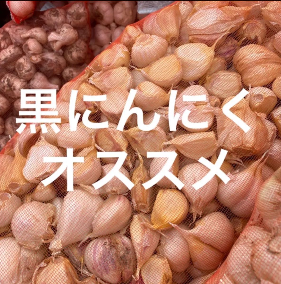 青森県バラにんにく20Kg ML Yahoo!フリマ（旧）-