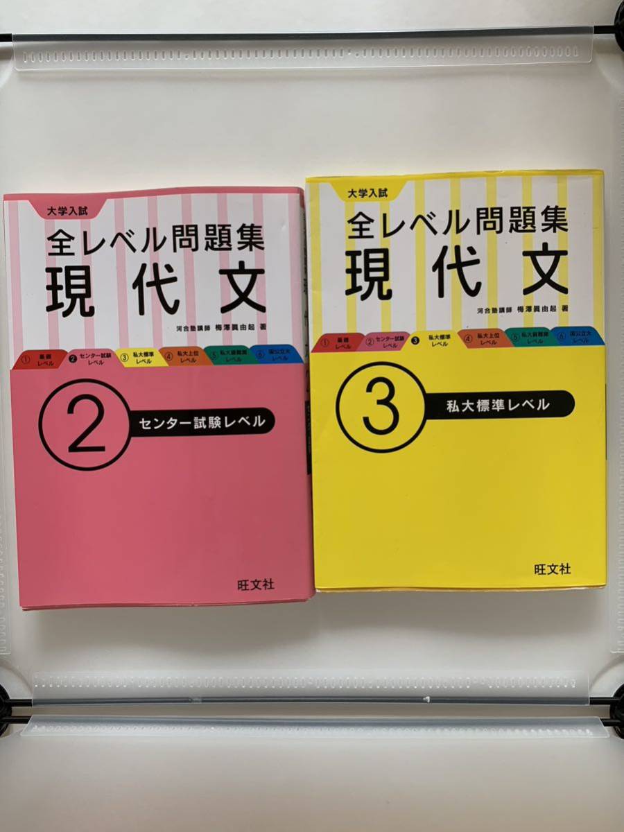 大学入試全レベル問題集現代文　2及び３ 梅澤眞由起／著_画像1