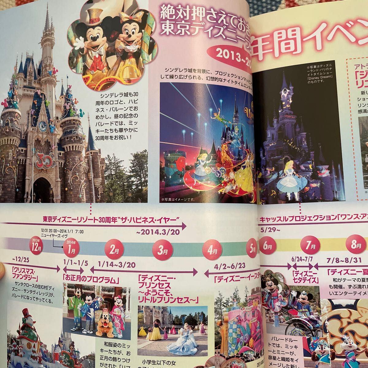 ポストカード付き 東京ディズニーランドパーフェクトガイドブック2014
