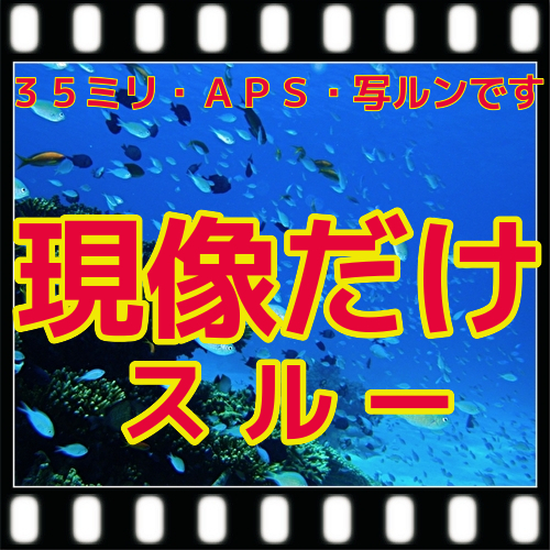 ★当店売筋ＮＯ.1商品　フジカラー純正薬品　カラーネガフィルム現像 + 16B高解像度ＣＤ書込 + インデックス１枚（35ミリフルサイズ_参考画像　現像だけスルーは１本300円