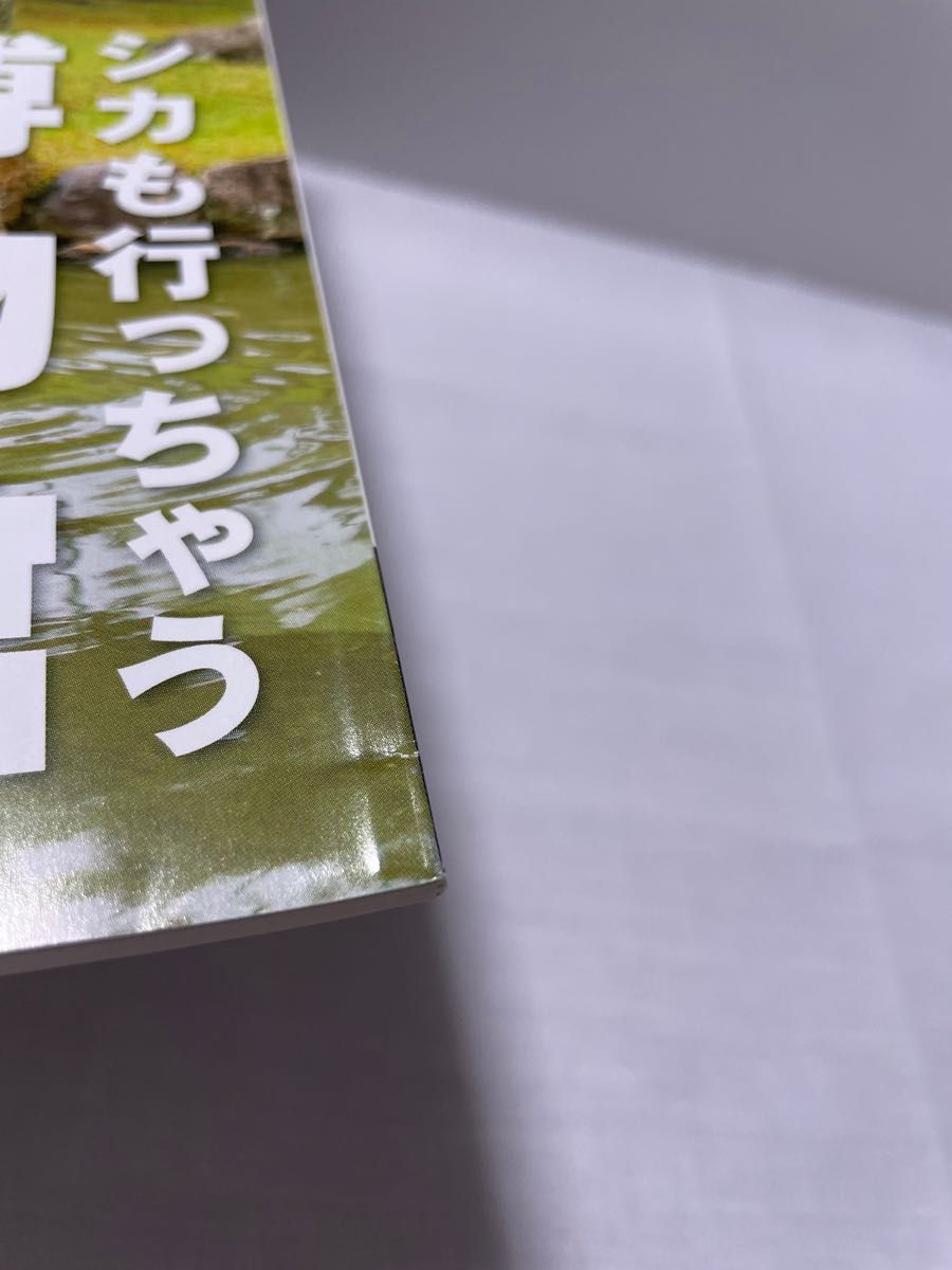 月刊大和路ならら　2016年7月号　シカも行っちゃう博物館　なら仏像館を◎倍楽しむ　月刊　大和路　ならら