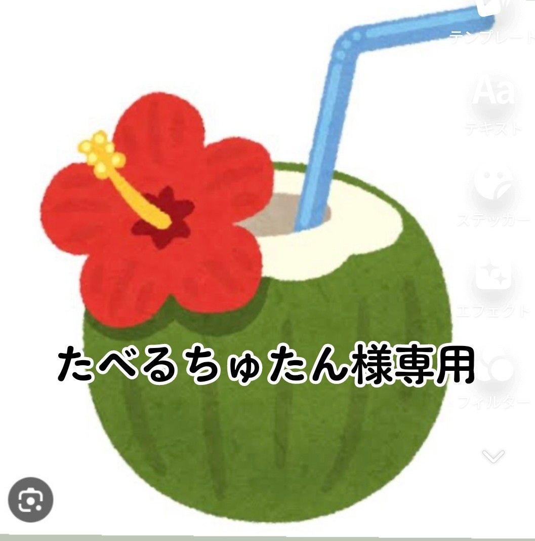 たべるちゅたん様専用|PayPayフリマ