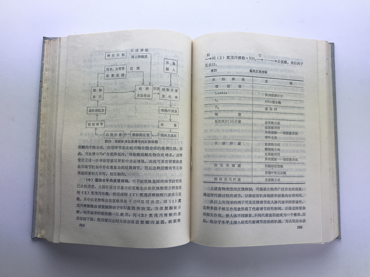 現代自然科学与中医理論 劉亞光 福建科学技術1983_画像3